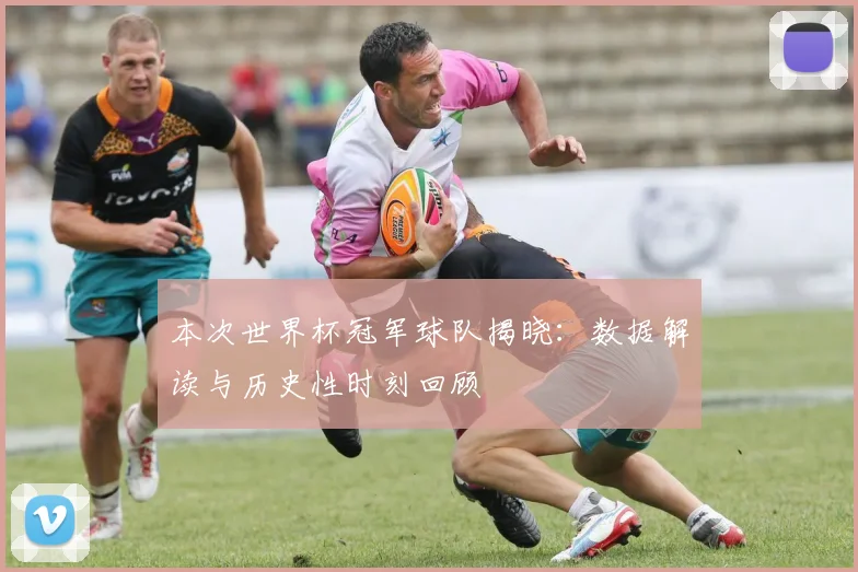 本次世界杯冠军球队揭晓：数据解读与历史性时刻回顾