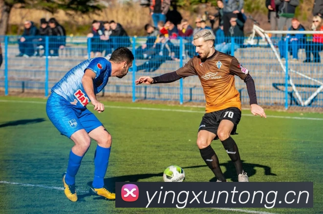 开云手机登录官网平台生态图