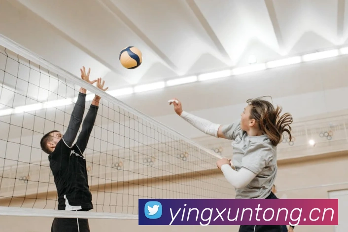 开云手机登录官网APP 封面图